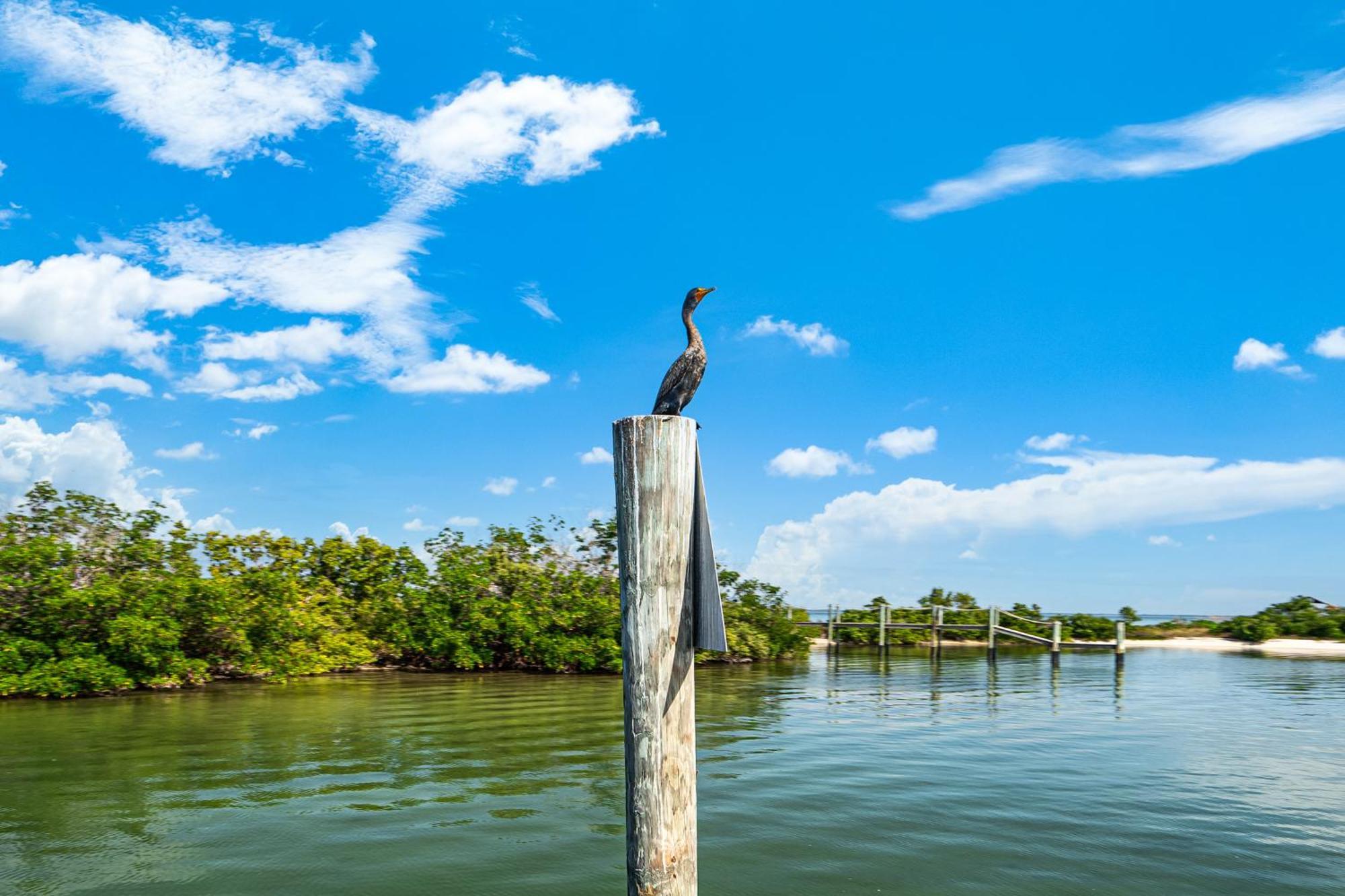 Beachfront,V Private, 360 Views, Sunsets, Hottub Captiva Island Esterno foto